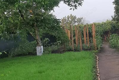 Vand casa in comuna Ghindeni jude?ul Dolj