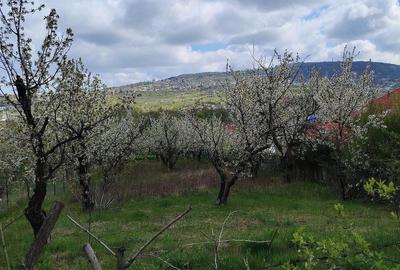 Teren de 1150 mp, în Bârnova - 3