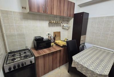 Apartament 2 camere Berceni- Cretestilor - 9