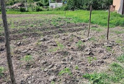 Teren de 800 mp, în Șilea - 1