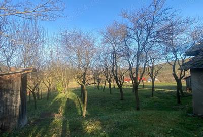 Vand casa si teren - 2