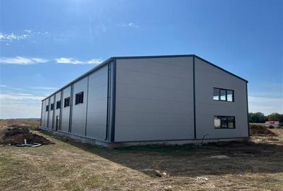 Spațiu industrial, de 600 mp, în Dascălu - 7