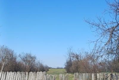 Casă individuală cu 3 camere cu Teren 2850 Mp în Alunișu - 15