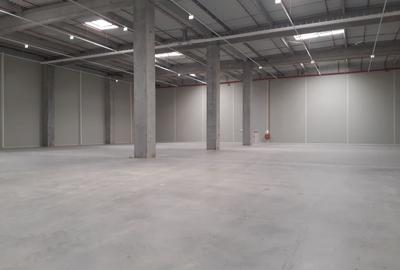 Bd. Th. Pallady - 1700mp - ISU - comision 0 - 1