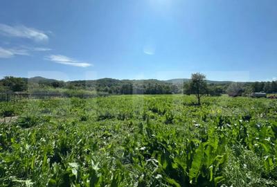Casă cu 5 camere cu Teren 3000 Mp în Central
