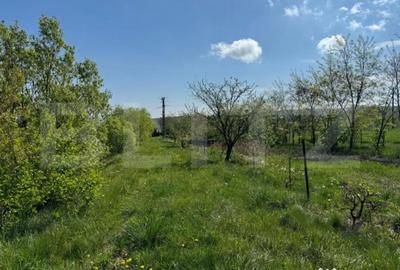 Teren de 19000 mp, în Central