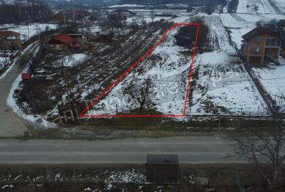 Teren de 2533 mp, în Bălteni - 3