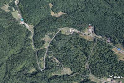 Posibilitate investitie,teren in Faget, Drumul Sfantului Ioan,UTR-Aapp - 2