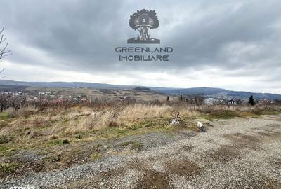 Spațiu comercial, în Bârnova - 4