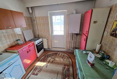 Apartament cu 3 camere decomandat în Banat - 6