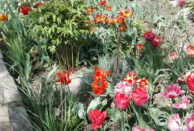 Teren de 31500 mp, în Perieni - 5