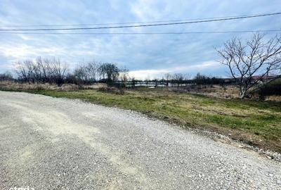 Spațiu comercial, în Tărian