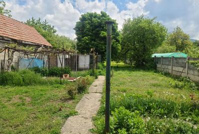 Casă cu 3 camere în Drumul Carului - 15