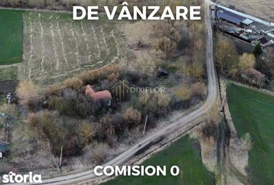 Teren de 11600 mp, în Ceuaș - 5