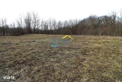 Spațiu comercial, în Provița de Sus - 4