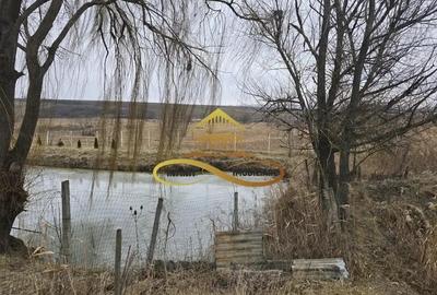 Casa de vanzare cu 5000 mp teren in Parincea cu livada si iaz Casa de vanzare cu 5000 mp teren in Parincea cu livada si iaz - 15