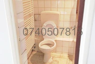 Maica Domnului, Lacul Tei, Lizeanu, Facultatea de Constructii Maica Domnului, Lacul Tei, Lizeanu, Facultatea de Constructii - 4