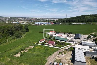 Teren 4.844mp intravilan Scheia | Suceava - 4