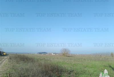 Teren agricol intravilan de 4025 mp, în Gruiu - 8