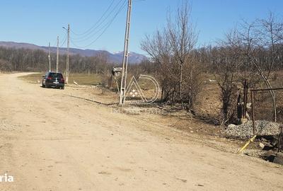 Teren de 2338 mp, în Bălești - 4