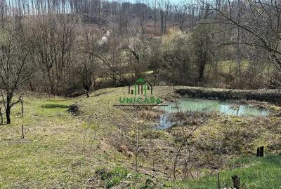Teren de 8131 mp, în Băile Govora - 1