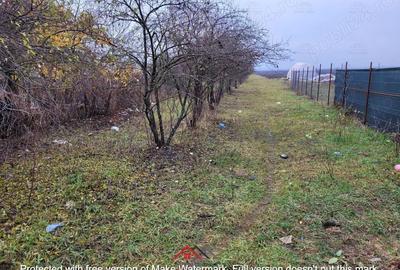 Casă cu 3 camere în Filipeștii de Târg - 10