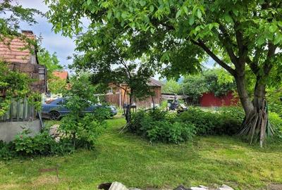 Spre vanzare case si terenuri la Sovata si la esire din Praid catre bucin Spre vanzare case si terenuri la Sovata si la esire din Praid catre bucin - 4