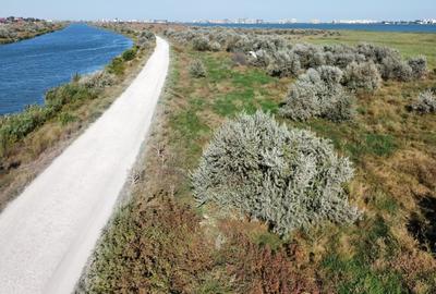 Teren de 15000 mp, în Mamaia - 5