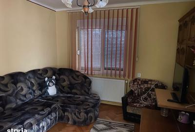Casă cu 5 camere cu Teren 1347 Mp în Giarmata - 6