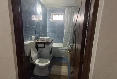 Garsonieră decomandată în Podu Roș - 10