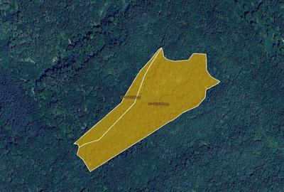 De vanzare teren extravilan - 10 ha - Chisindia, judetul Arad - 3