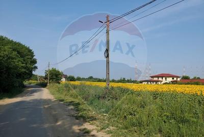Teren 1,096mp Ciolpani / Strada Catunului