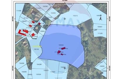 Teren Construcții intravilan de 24253 mp, în Predeluț - 20