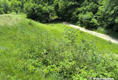 Teren extravilan, 1423 mp, Huta, com. Chiuesti, jud. Cluj, pt. investitie - 3