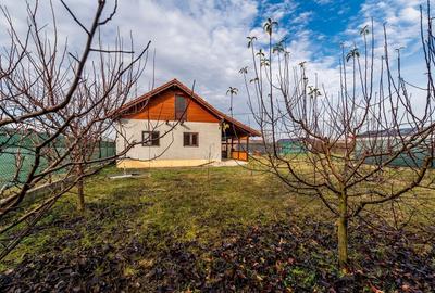 Casă individuală în Dorobanți – 21 km de Arad - 4