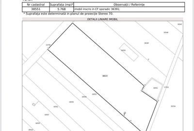 Teren de 5768 mp, în Săbăreni