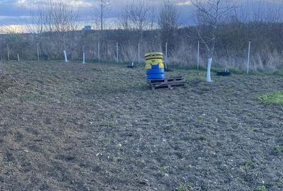 Teren de 600 mp, în Narcisa - 3