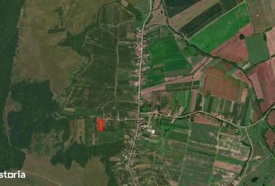 Teren de 2450 mp, în Hidiș - 3