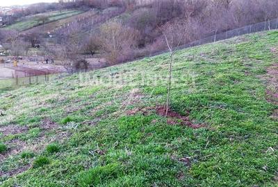 Teren de 1500 mp, în Micești - 2