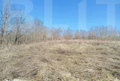 Casă cu 4 camere cu Teren 10000 Mp în Central - 5