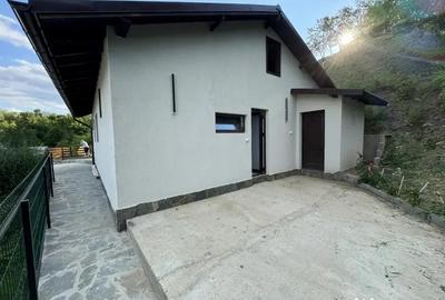 Casă cu 3 camere cu Teren 1890 Mp în Central - 8