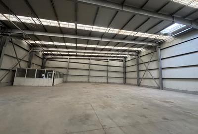 Spațiu industrial, de 458.20999145508 mp, în Șagului - 7