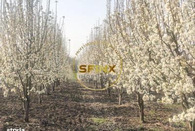 Spațiu comercial, de 1,111 mp, în Nicolae Bălcescu - 8