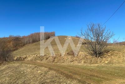 Teren 16469 mp extravilan arabil  Poiana Marului zona Vulcanita - 5