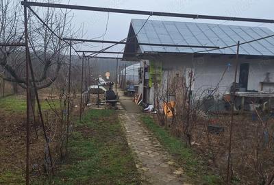 Casă în Bălteni - 2