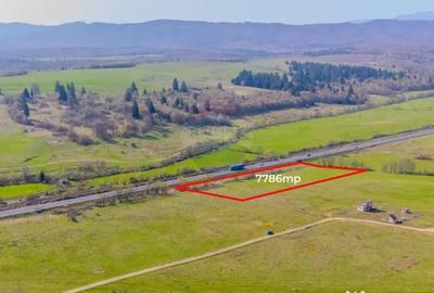 Teren de 7786 mp, în Vlădeni - 2