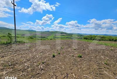 Teren de 5800 mp, în Șintereag - 3