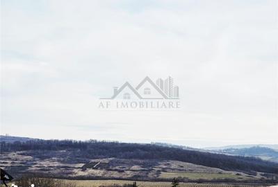 Teren de 493 mp, în Ciurea - 4