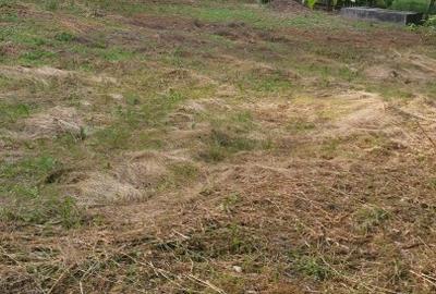 Teren Construcții intravilan de 506 mp, în Uiasca - 3