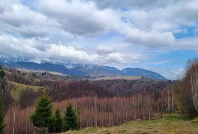 Teren de 1000 mp, în Drumul Carului - 1